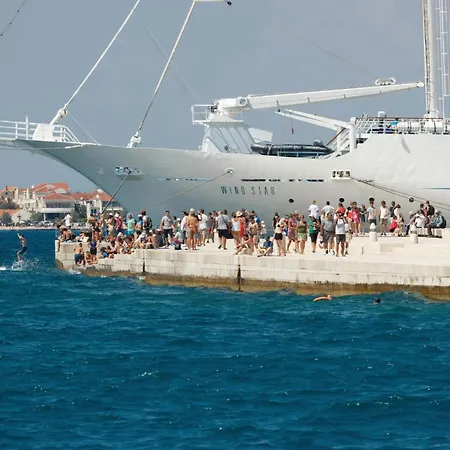 Fantastisk I Med Pool Lägenhet Zadar